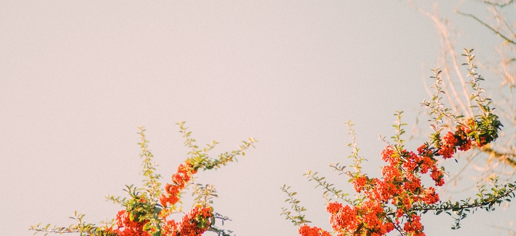 教育部：要求每一所中小学校至少配备1名法治副校长