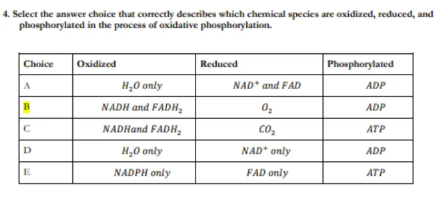 截屏2024-03-25 18.44.40.png