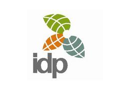 IDP上市计划推迟，拟于2015年下半年IPO