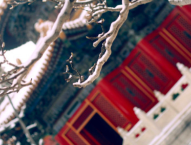 卓越教育推大语文探索新玩法，谁说主课不能玩素质教育