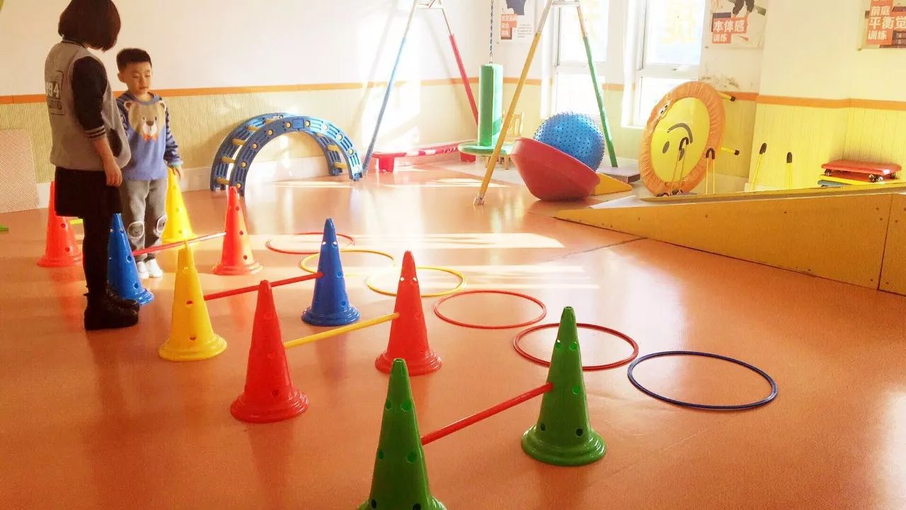 金色雨林完成逾5000万元A轮融资，上半年将推在线小班课