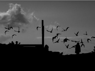 北大青鸟：为何一飞不复返？