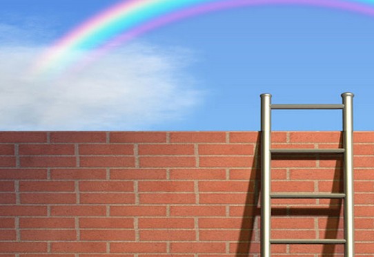 明年投入1.5亿：梯子网怎么做平台？